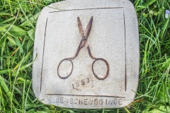 5D338598_